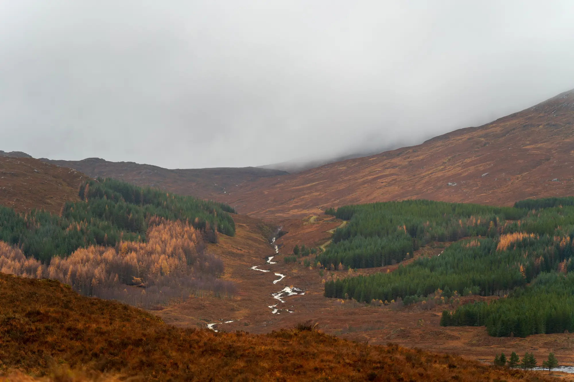 Conifer plantation blocks and open moorland in an upland valley