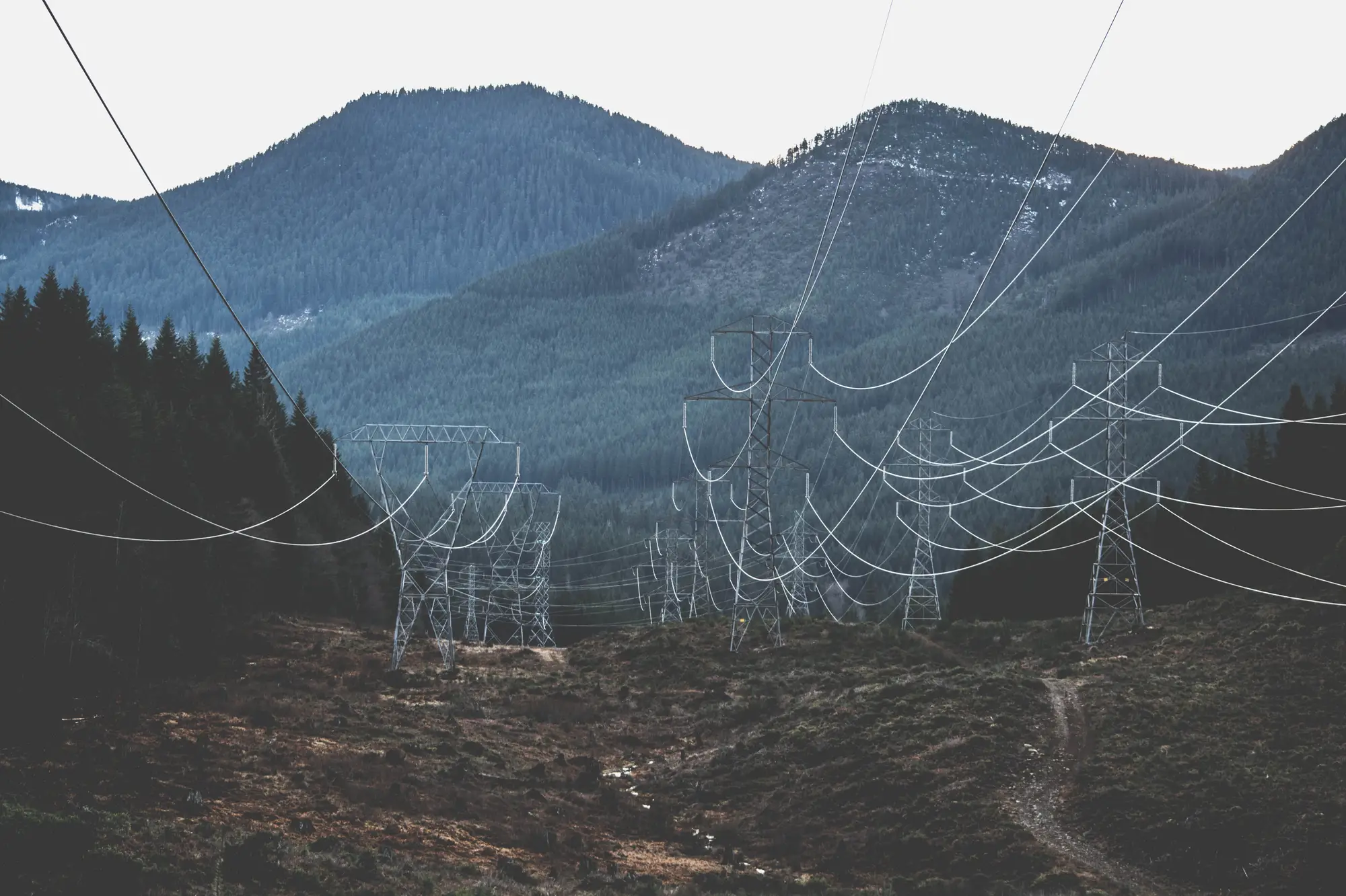 A pylon line crossing cleared ground below forested hills